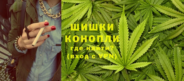 PSILOCYBIN Арсеньев
