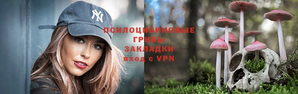 круглые Аркадак