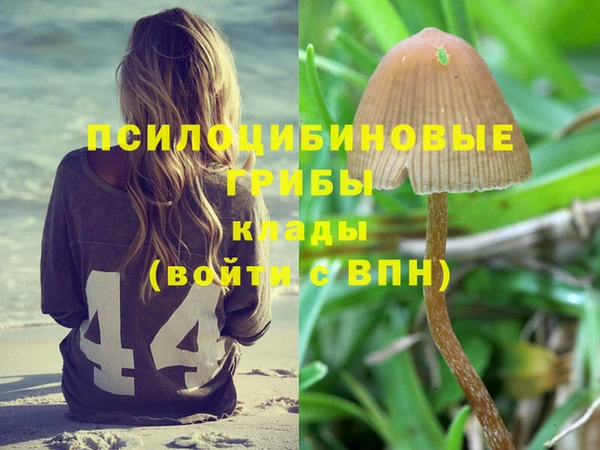 круглые Аркадак