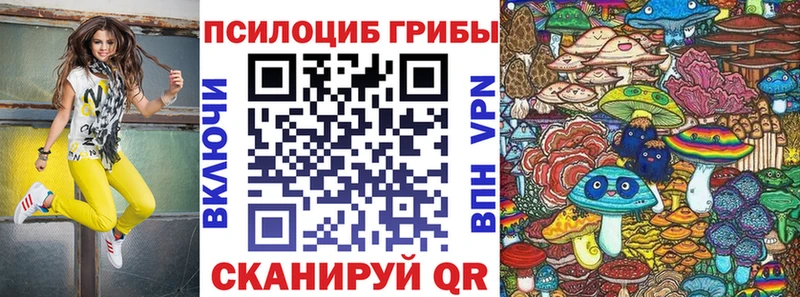 Галлюциногенные грибы GOLDEN TEACHER  Купить где  Урус-Мартан 
